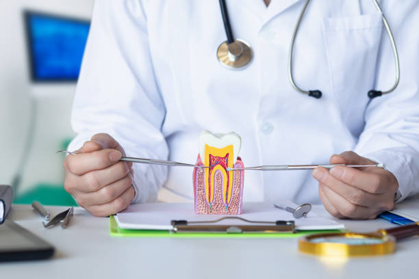 Best Emergency Dental Services for Seniors in Seymour, TN
